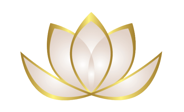 What is Zen Web Media?